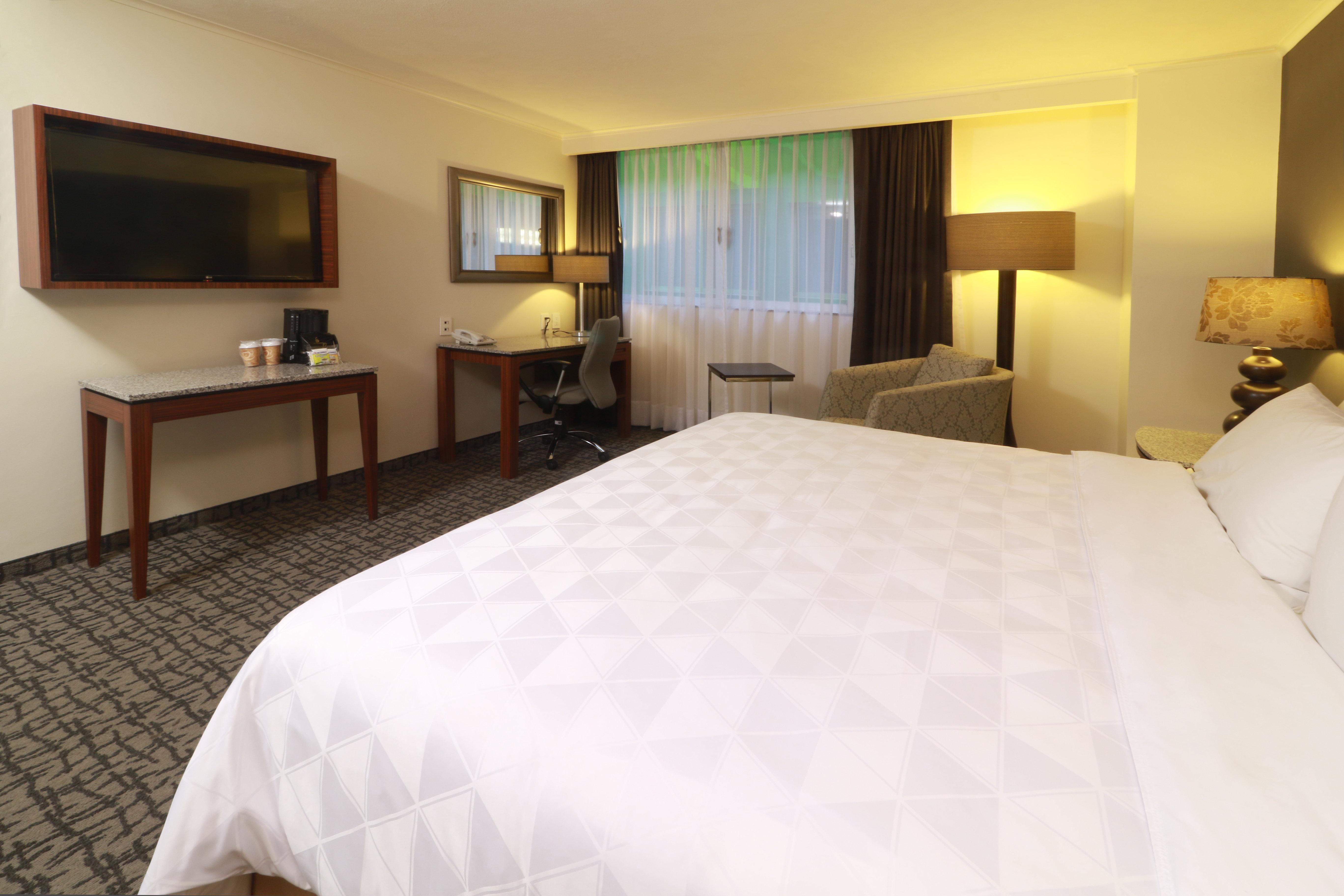 Holiday Inn Mexico City - Trade Center By Ihg Exteriér fotografie